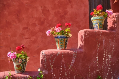 Decorated pots with plants on steps